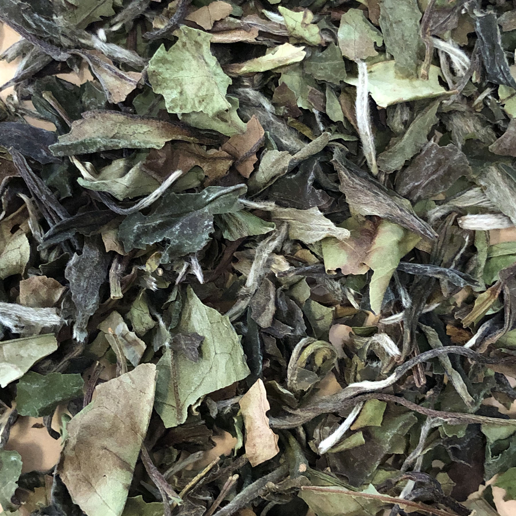White Tea