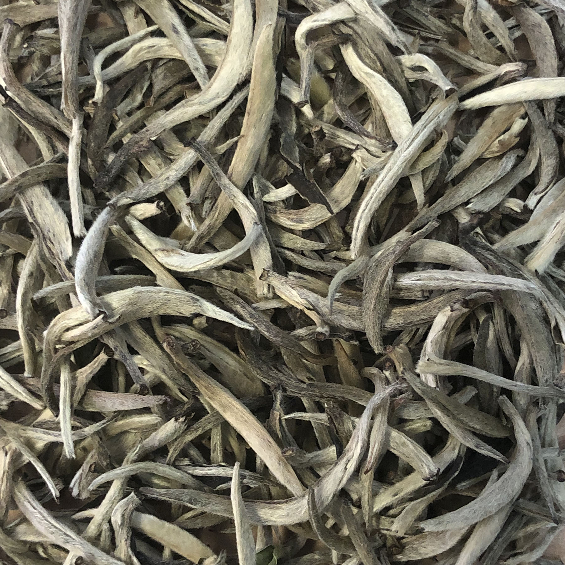 White Tea