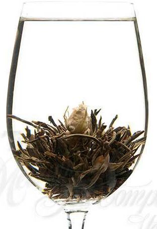Camellia Rose Bloom Tea